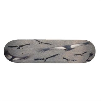 Condor Skateboard