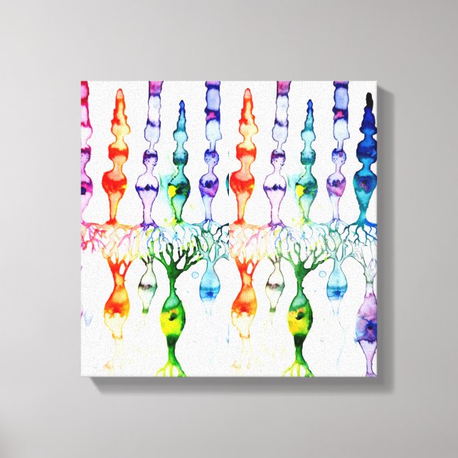 Cone cells rod cells and bipolar neurond of retina canvas print (Front)
