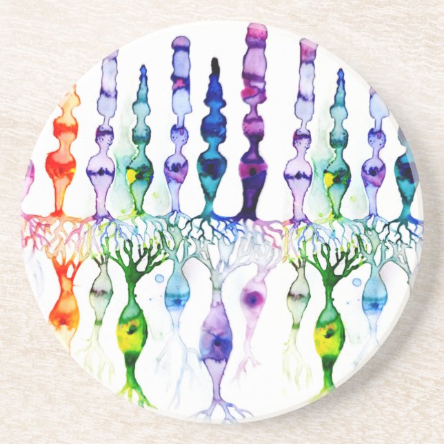 Cone cells rod cells and bipolar neurond of retina coaster (Front)