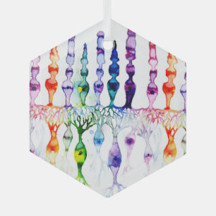 Cone cells rod cells and bipolar neurond of retina glass ornament