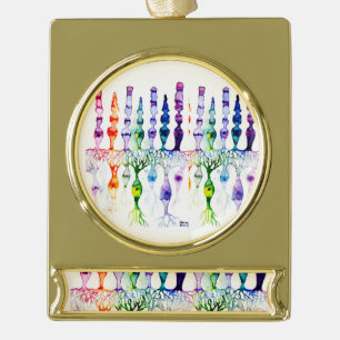 Cone cells rod cells and bipolar neurons of retina gold plated banner ornament