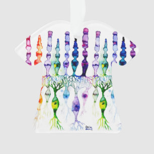 Cone cells rod cells and bipolar neurons of retina ornament