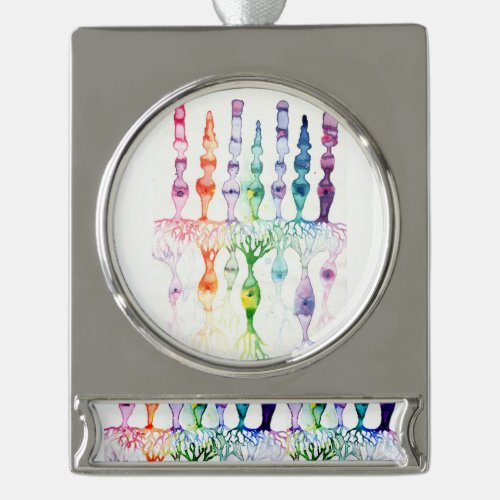Cone cells rod cells and bipolar neurons of retina silver plated banner ornament