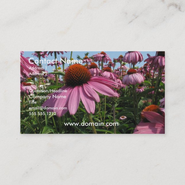 Cone Flower Business Card (Front)