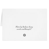 Cone Flower Cards (Back Horizontal)