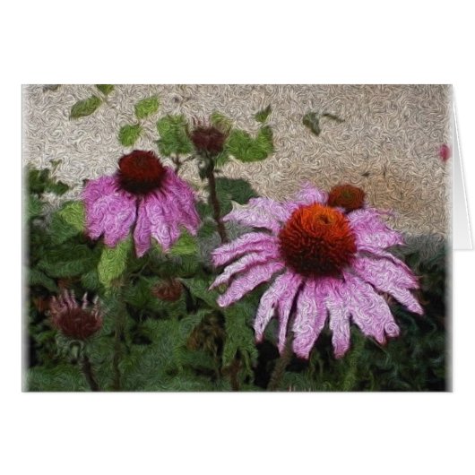 cone flower cards (Front Horizontal)