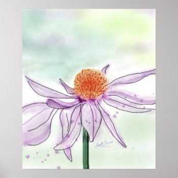Cone Flower Watercolor Poster by Koobear at Zazzle