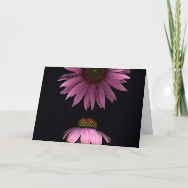 Cone Flowers Card (Front)