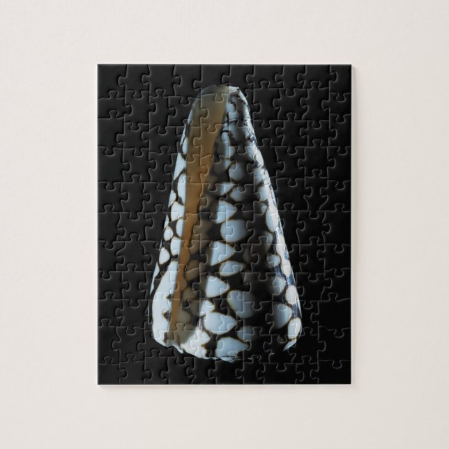 Cone shell 2 jigsaw puzzle (Vertical)