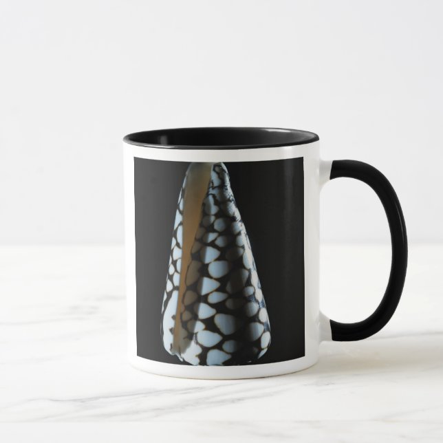 Cone shell 2 mug (Right)