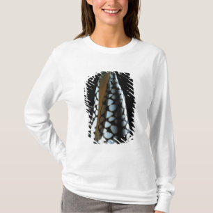 Cone shell 2 T-Shirt