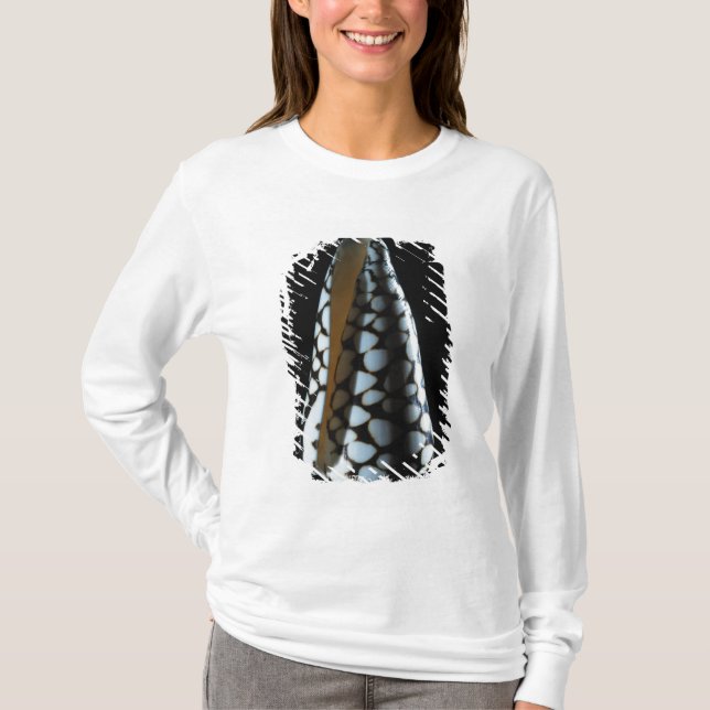 Cone shell 2 T-Shirt (Front)