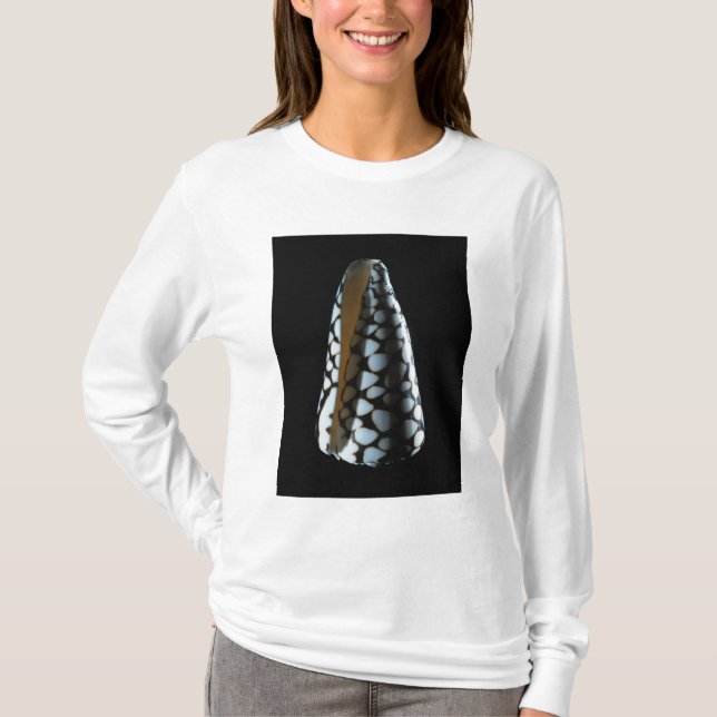 Cone shell 2 T-Shirt (Front)