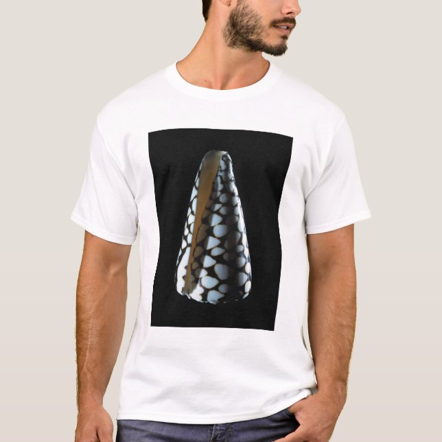 Cone shell 2 T-Shirt (Front)