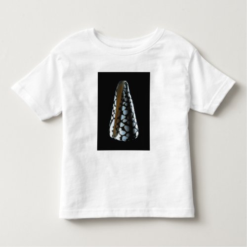 Cone shell 2 toddler t_shirt