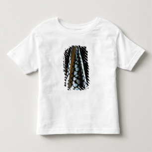 Cone shell 2 toddler t-shirt