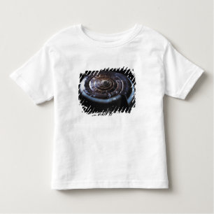 Cone shell toddler t-shirt
