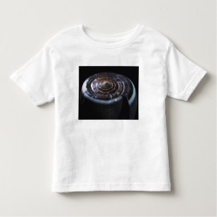 Cone shell toddler t-shirt
