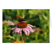 Coneflower (Front Horizontal)