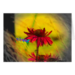 Coneflower Art #2