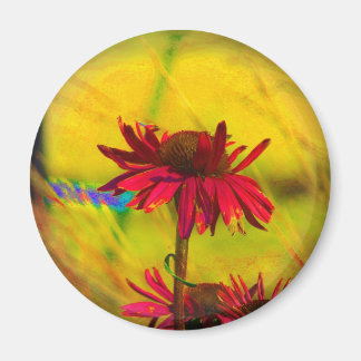 Coneflower Art #2 Magnet