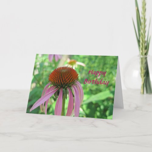 Coneflower Birthday Card