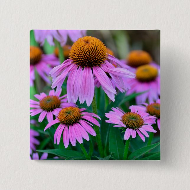 Coneflower Button (Front)