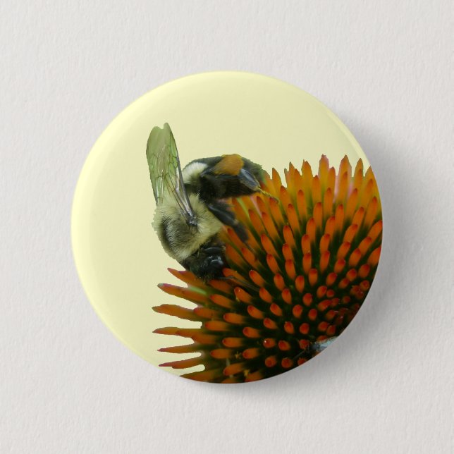 Coneflower & Eastern Carpenter Bee Items Button (Front)