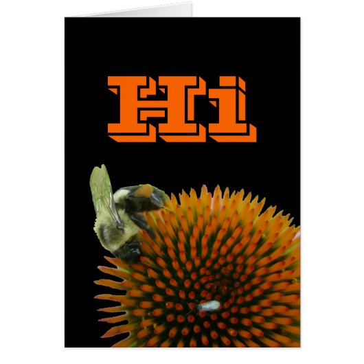 Coneflower & Eastern Carpenter Bee Items Cards (Front)