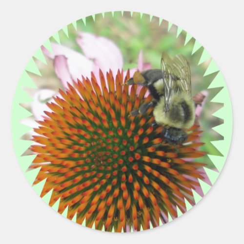 Coneflower  Eastern Carpenter Bee Items Classic Round Sticker