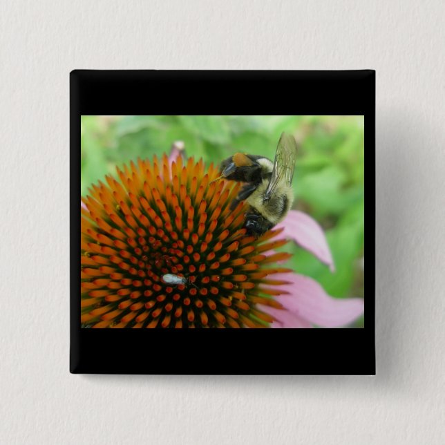 Coneflower & Eastern Carpenter Bee Items Pinback Button (Front)