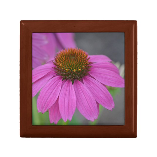 Coneflower Gift Box (Front)