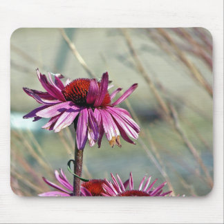 Coneflower Mouse Pad
