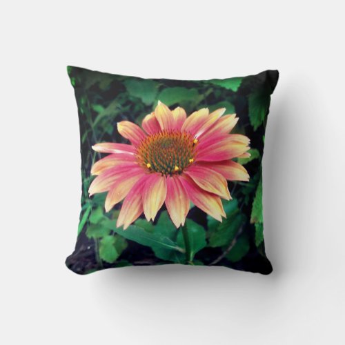 Coneflower Photo Daisy Like Pink Flower  Throw Pillow