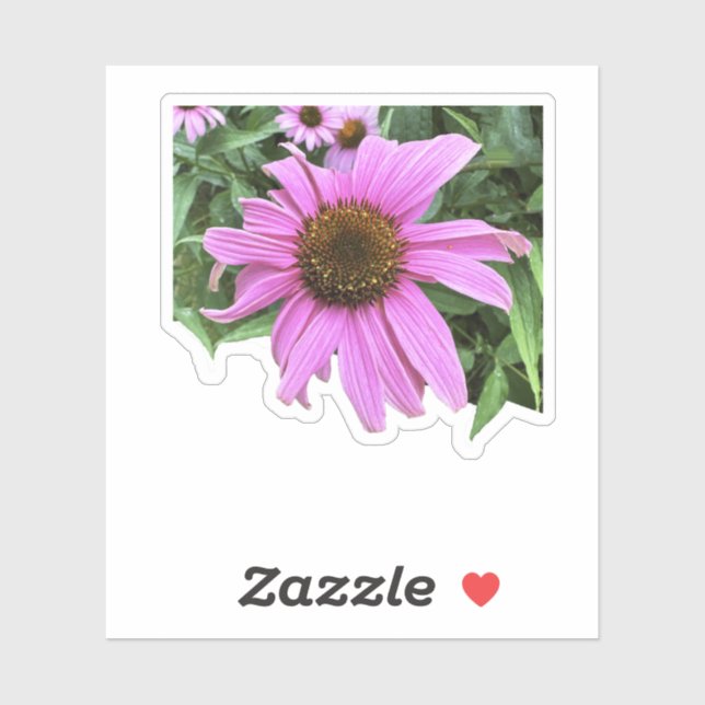 Coneflower pink purple daisy flower with leaves sticker (Sheet)