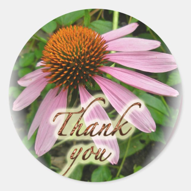 Coneflower Thank You Coordinated Items Classic Round Sticker (Front)