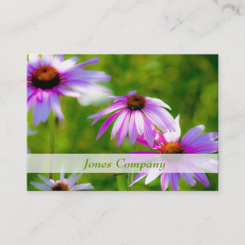 Coneflowers Beautiful Floral Business Card