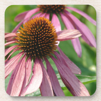 Coneflowers Beverage Coaster
