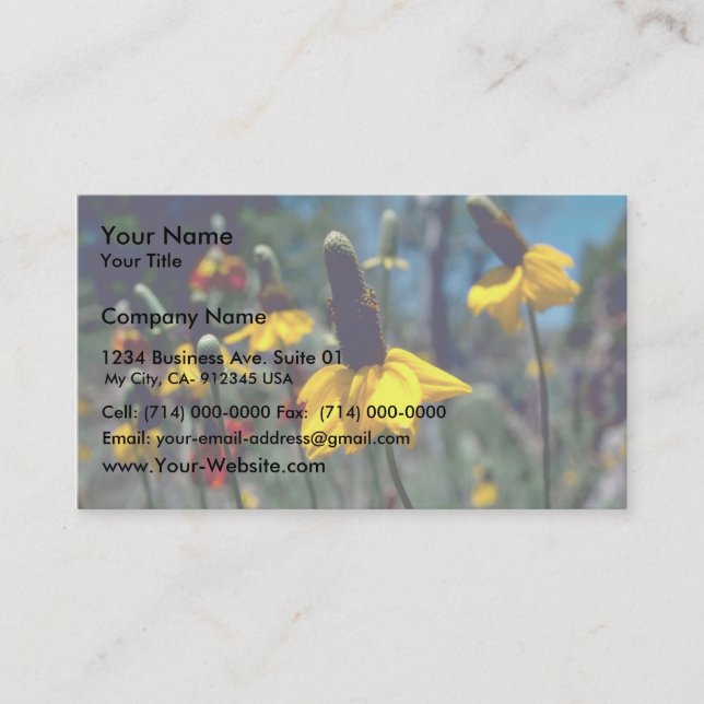 Coneflowers Business Card (Front)