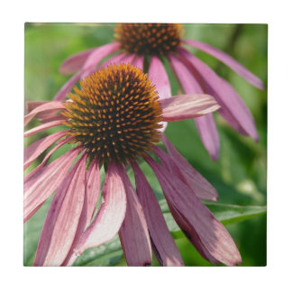Coneflowers Ceramic Tile