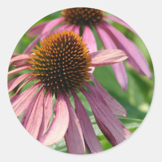 Coneflowers Classic Round Sticker