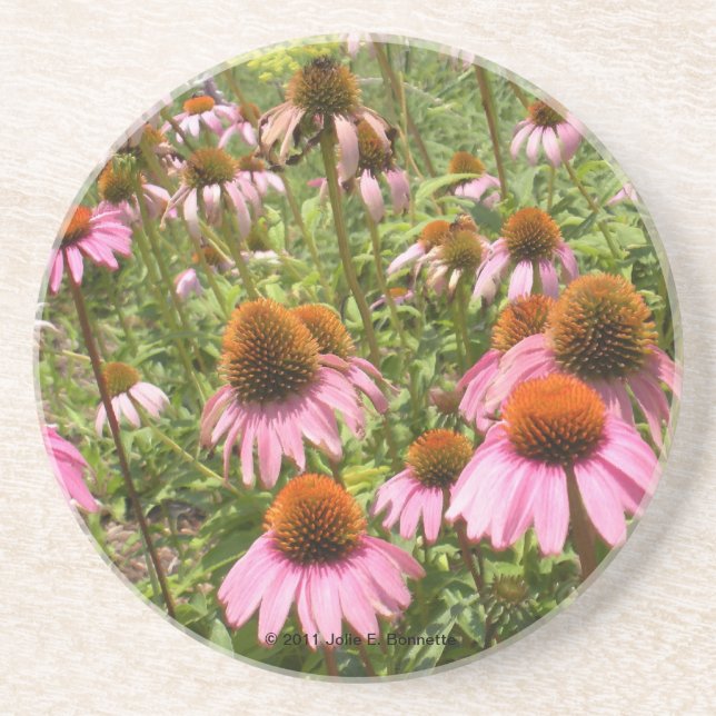 Coneflowers Coaster (Front)