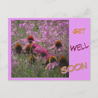 Coneflowers Cust. Text Get Well Soon Postcard