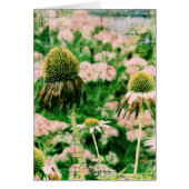 Coneflowers Grunge (Front)