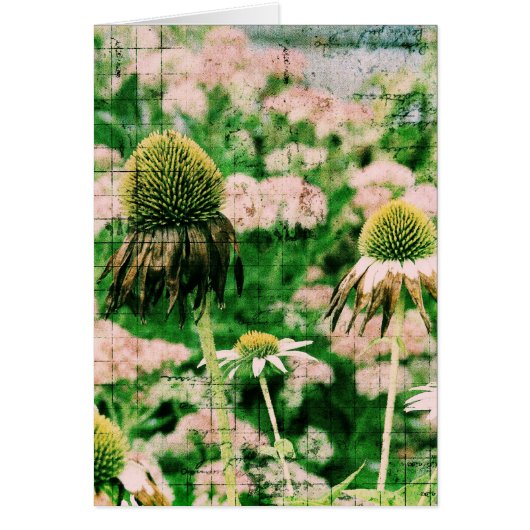 Coneflowers Grunge Cards (Front)