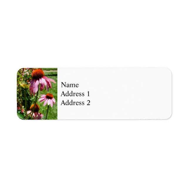 Coneflowers in Garden Label (Front)