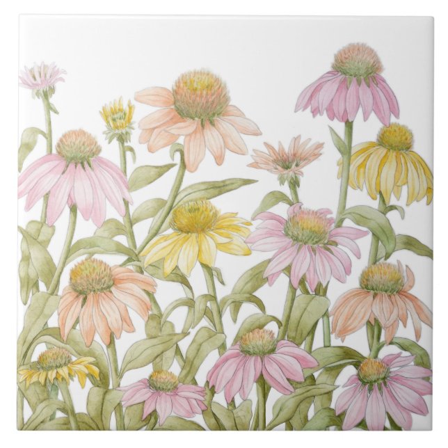 Coneflowers Watercolor Botanical Art Ceramic Tile (Front)