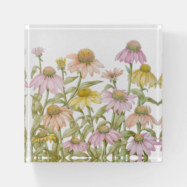 Coneflowers Watercolor Botanical Art Paperweight (Front)