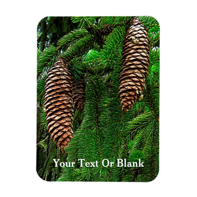 Cones And Needles Magnet (Vertical)