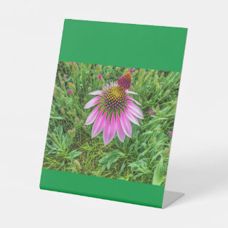 Cones Love  Pedestal Sign